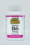 Vitamin B6 100 mg